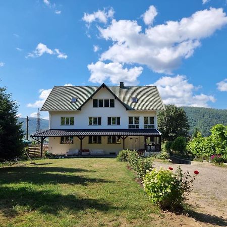 Vila Aslam Hotel Gura Humorului Buitenkant foto