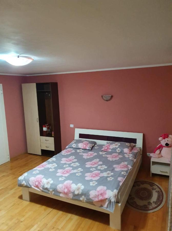 Vila Aslam Hotel Gura Humorului Buitenkant foto