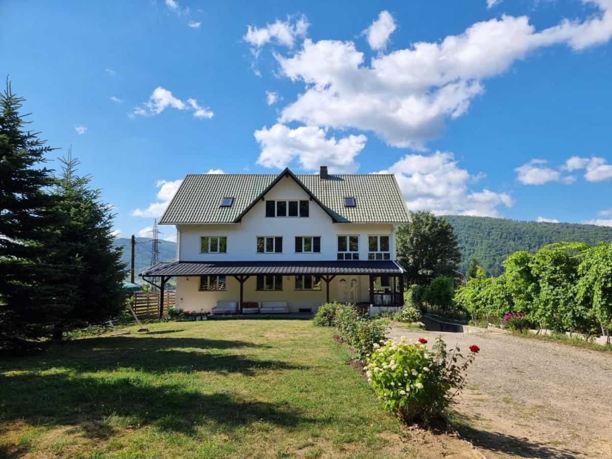 Vila Aslam Hotel Gura Humorului Buitenkant foto
