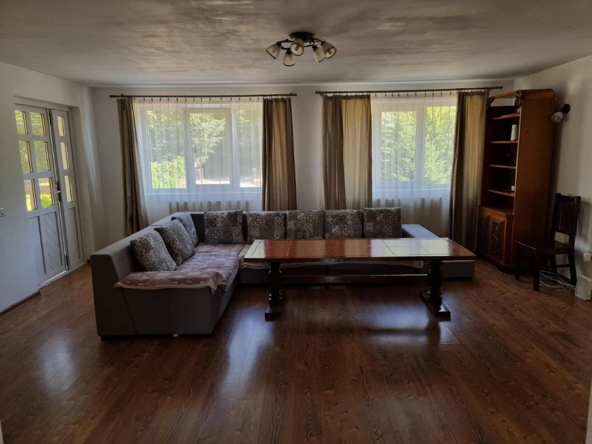 Vila Aslam Hotel Gura Humorului Buitenkant foto