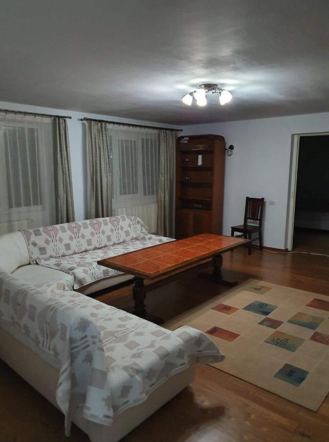 Vila Aslam Hotel Gura Humorului Buitenkant foto