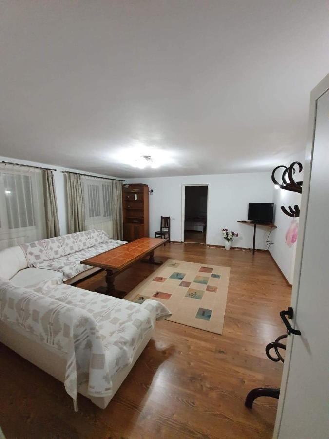 Vila Aslam Hotel Gura Humorului Buitenkant foto
