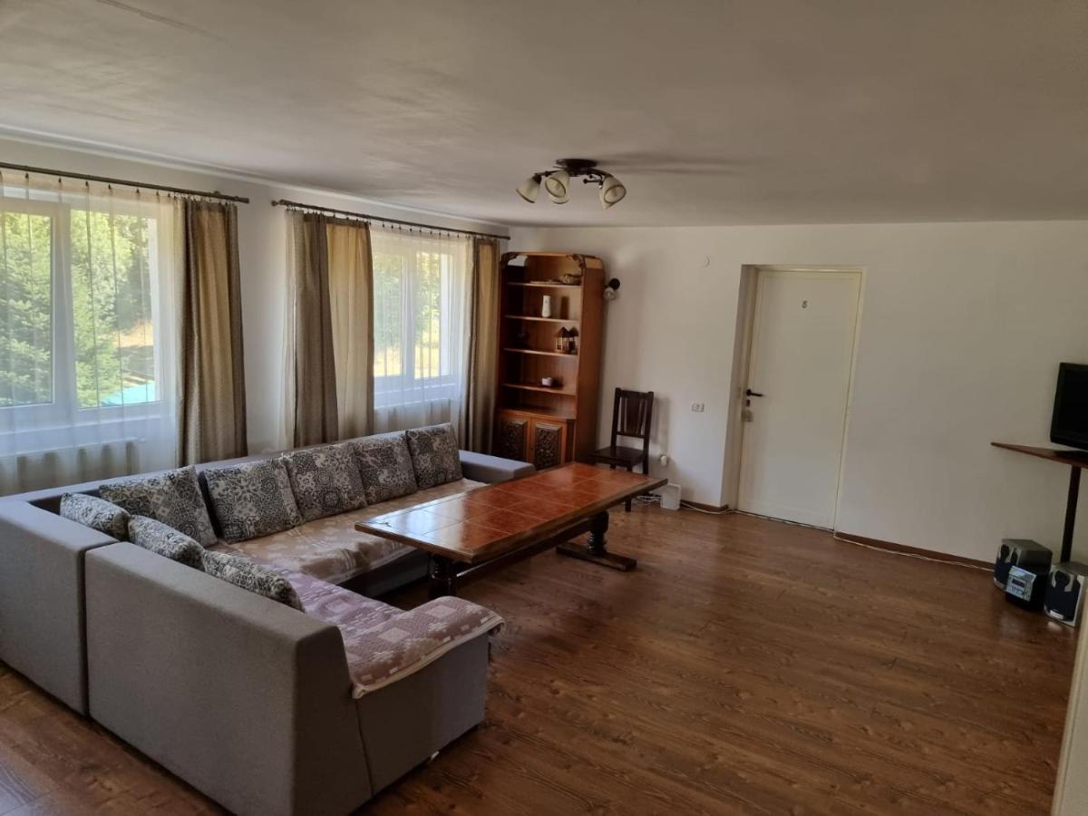 Vila Aslam Hotel Gura Humorului Buitenkant foto